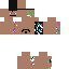 skin for Naked Steve