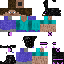 skin for neo steve