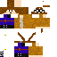 skin for Nerd Cave smp