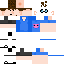 skin for nerdy