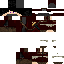 skin for Ninja