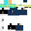 skin for Ninja