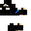 skin for Ninja