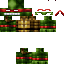 skin for ninja skin