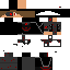 skin for NInjabot