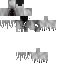 skin for Niz gamer 25