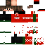skin for njflashcoco