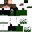 skin for njflashcoco
