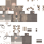 skin for Not mine