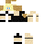 skin for nshoss
