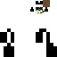 skin for Panda Boy Gamer