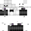 skin for panda