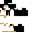 skin for Penguin  remake