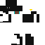 skin for penguin