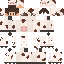 skin for Phrson