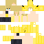 skin for Pica something