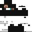 skin for pilot