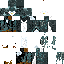 skin for Pingüino 