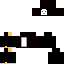 skin for pingwin