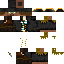skin for Pirate