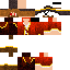 skin for Pirate