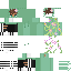 skin for plamt