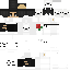 skin for Polar