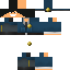 skin for Policjant