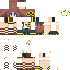 skin for priv 2