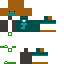 skin for pro