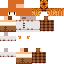 skin for Pumkin