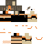 skin for  Pumpkin ave 