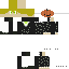 skin for Pumpkin masked me
