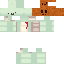 skin for Pumpkin turt