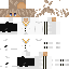 skin for Punz