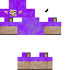 skin for PurpleShep