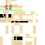 skin for rainbow
