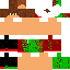 skin for Red Green