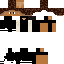 skin for reid 