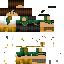 skin for Reskin for server