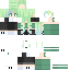 skin for Reupload