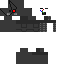 skin for Robby