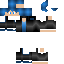 skin for SAGERRETT GAMING