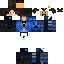 skin for salvynex