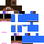 skin for Sans Steve