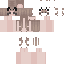 skin for sd