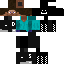 skin for SDME