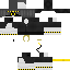 skin for SDN