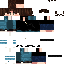 skin for sdsd
