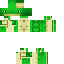 skin for Sea Turtle